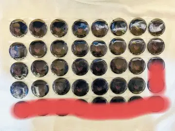 프로세카 그리캔 30a 아오야기 토우야