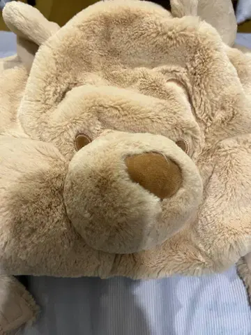 디즈니 팬캡 푸우