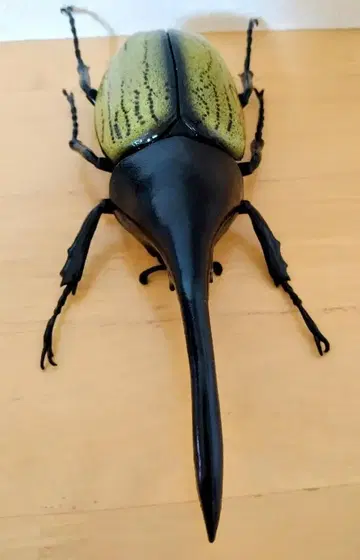 헤라클레스 장수풍뎅이 데아고스티니 곤충 피규어 세계의 곤충