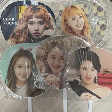 TWICE 채영 부채