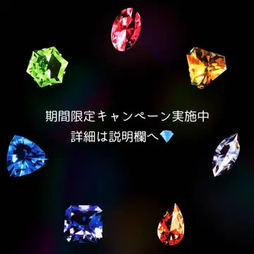 [ 즉시 구매 OK ] 트위스테 브레이징 주얼 레오나