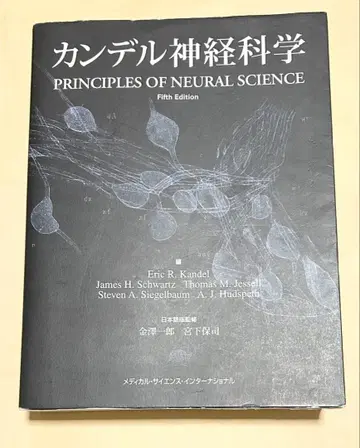 칸델 신경과학 33