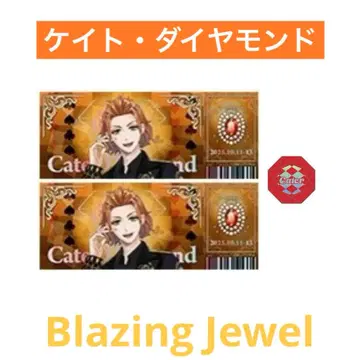 [ 즉시 구매 OK ] 트위스테 브레이징 주얼 케이트