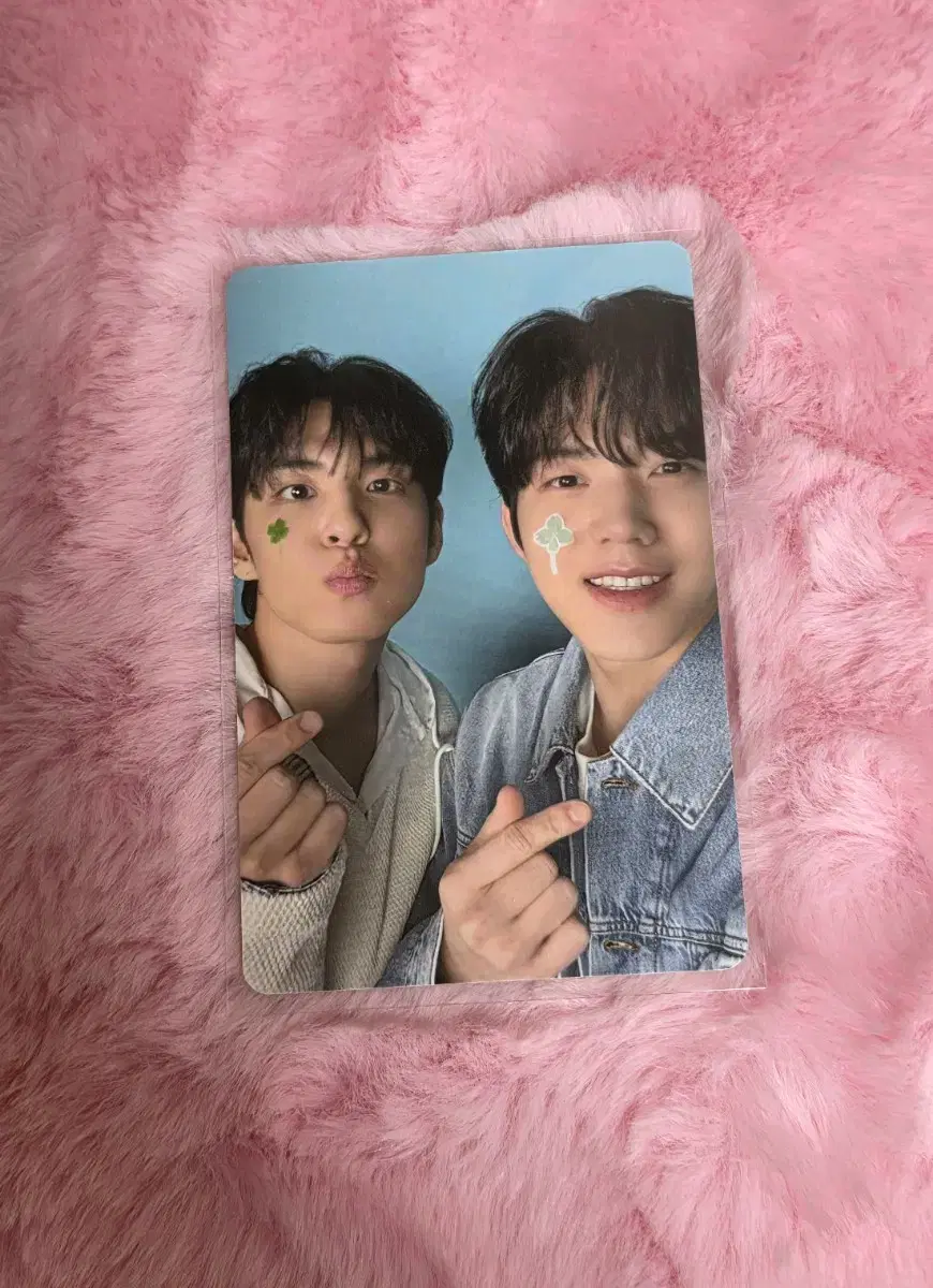 Day6 Dicon Wonpil Dowoon old curtain new curtain unit photocard