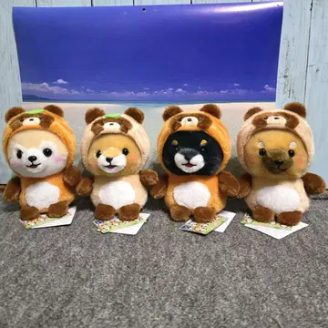 콩시바 삼형제 포테구루미 너구리 ST 봉제 인형 전종 세트