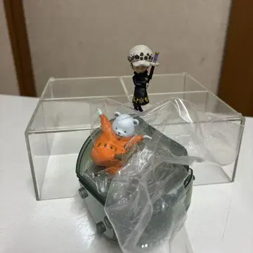 베포 트라팔가 로 원피스 열매