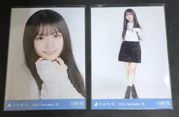노기자카46 카와사키 사쿠라 스팽글 요리 히키