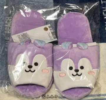 BTS 제이홉 호석 BT21 망 슬리퍼