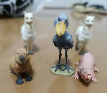 카이요도 캡슐Q 뮤지엄 진수 동물원 전 5종