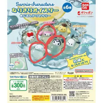 산리오 굴 메지루시 액세서리
