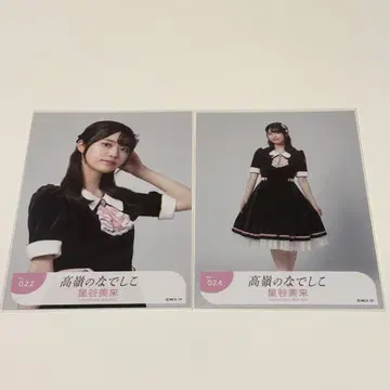 타카네노 나데시코 안티 팬 호시야 미라이 브로마이드