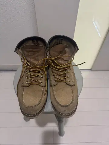 Red Wing Shoes 8173 스웨이드 아이리쉬 세터 25.5