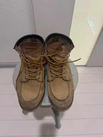 Red Wing Shoes 8173 스웨이드 아이리쉬 세터 25.5