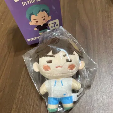인더썸 윤기 봉제 인형