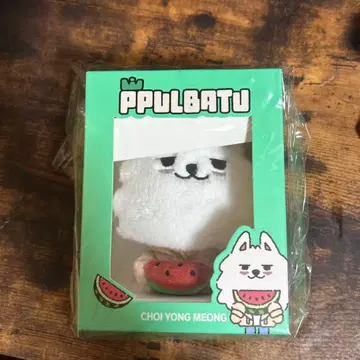 TXT PPULBATU 한정판 수박 용몬 플러시 키링