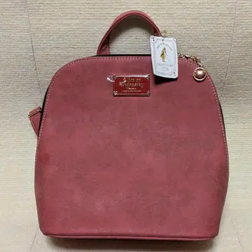 디즈니 바운드 수요일의 앨리스 레드 3way 백팩 백 귀여운