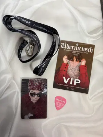 G-DRAGON 2025 오사카 앙코르 공연 VIP 혜택 피크 포함