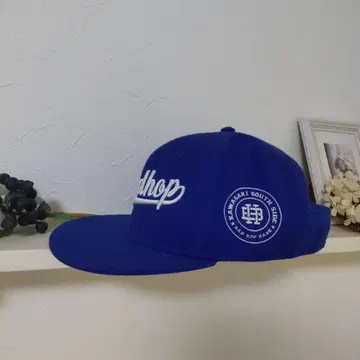 레어 색상 BadHop 캡 도쿄돔 해산 라이브 한정품