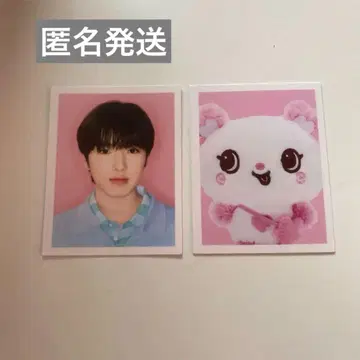 nct wish steady md 사쿠야 사쿠야 ID 사진 증명사진