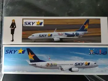 SKY 특별 페인팅 보잉 737 모형