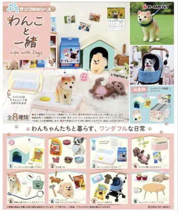 리멘트 강아지와 함께 BOX 상품 1BOX