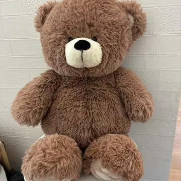 커다란 브라운색 곰 봉제 인형