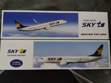 스카이마크 737-800 모형