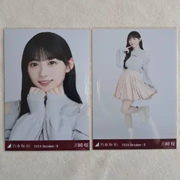 노기자카46 카와사키 벚꽃 브로마이드