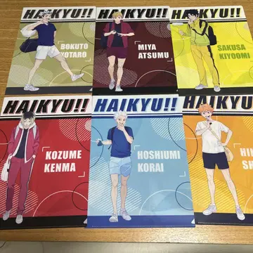HAIKYU!! 캐릭터 클리어 파일 세트
