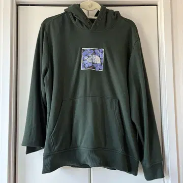 THE NORTH FACE 후드티 다크 그린