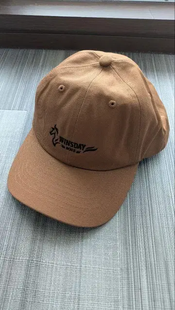 브라운 로고 캡