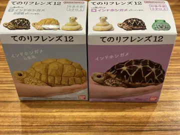 테노리 프렌즈