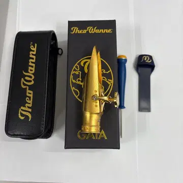 Theo Wanne GAIA4 6 테너 메탈 마우스피스