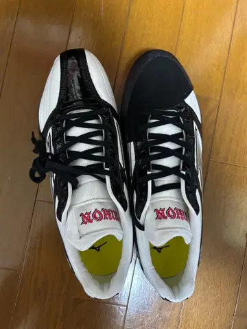 일본 대학 야구부 스파이크