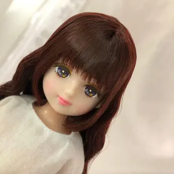 팔레트F 캐슬제