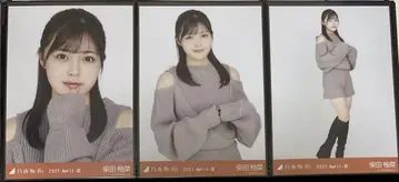 시바타 유나 브로마이드 레이어드 니트 컴프