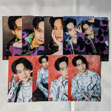 REI 브로마이드 7장 세트