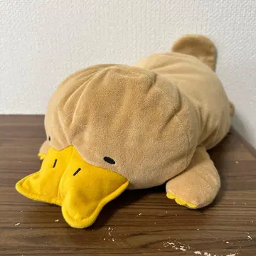 선레몬 웜뱃 씨들 오리너구리 씨 배 깔고 눕는 봉제 인형