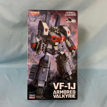 1/72 VF-1J 아머드 발키리 [ 초시공 요새 마크로스 ] [30]