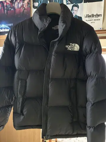 THE NORTH FACE 눕시 자켓