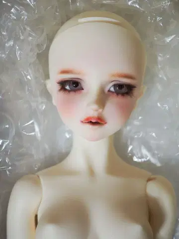 SD 13 엘리자베스 (본체만)