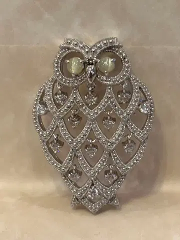 올빼미형 실버 브로치 캣츠아이