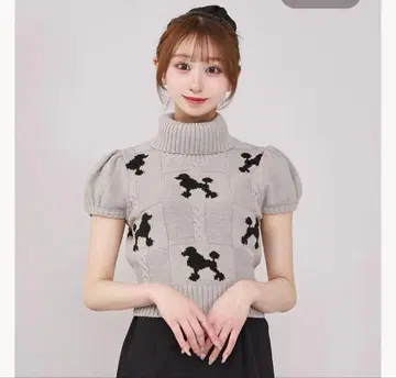 Darich 다리치 푸들 실루엣 니트탑 그레이