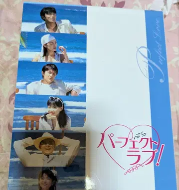 퍼펙트 러브! DVD-BOX (4장)