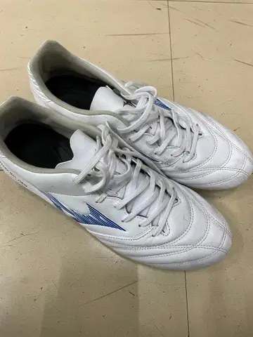 모나르시다 네오 프로 와이드