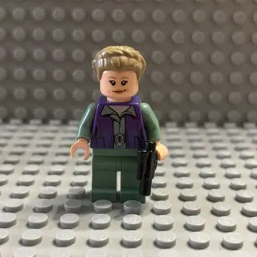 LEGO 미니 피규어 레이아