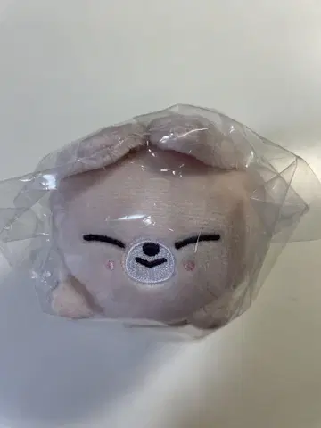 미니 백참 타와라 [StrayKids 스키즈 SKZOO 폭시니]