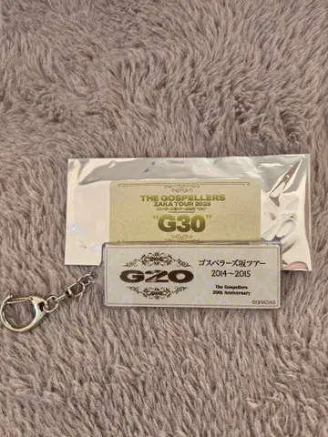 G20 키링