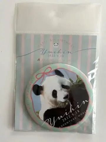 미개봉 새상품 어드벤처 월드 팬더 유우힌 캔뱃지
