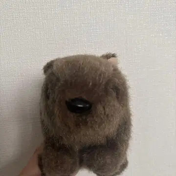 웜뱃 봉제 인형